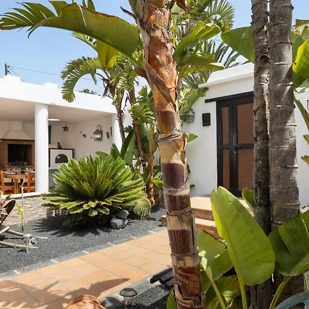 Casa Strelitzia By Escape 别墅 Nazaret